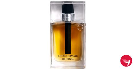 dior homme 17.5 cm|dior homme original 2021.